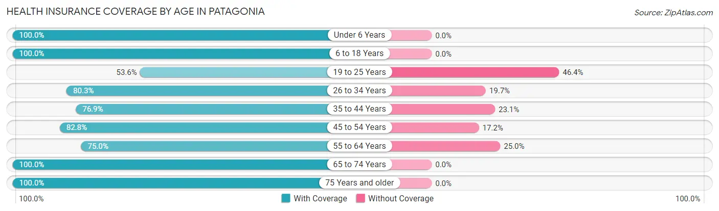 Health Insurance Coverage by Age in Patagonia