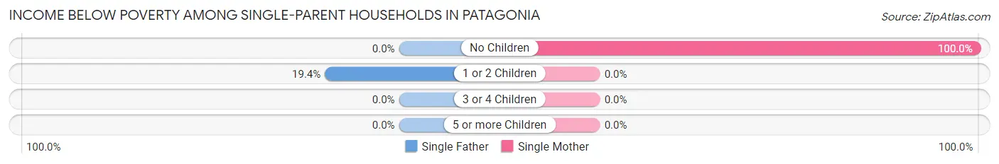 Income Below Poverty Among Single-Parent Households in Patagonia