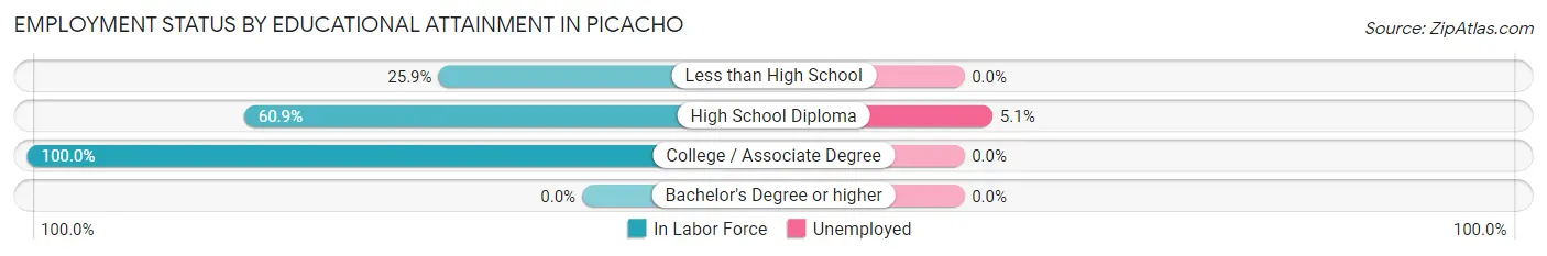 Employment Status by Educational Attainment in Picacho