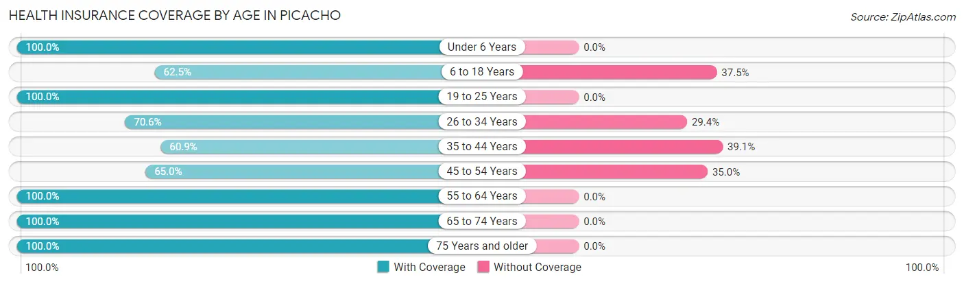Health Insurance Coverage by Age in Picacho