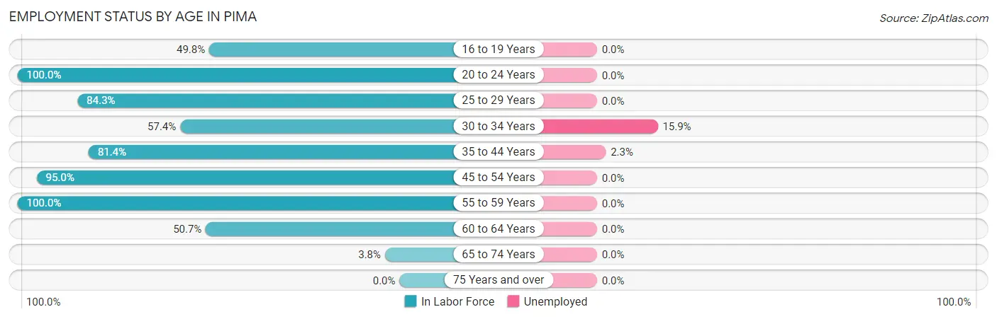 Employment Status by Age in Pima
