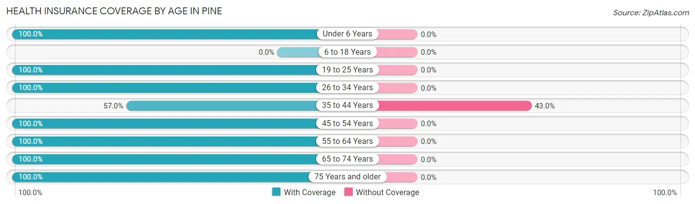 Health Insurance Coverage by Age in Pine