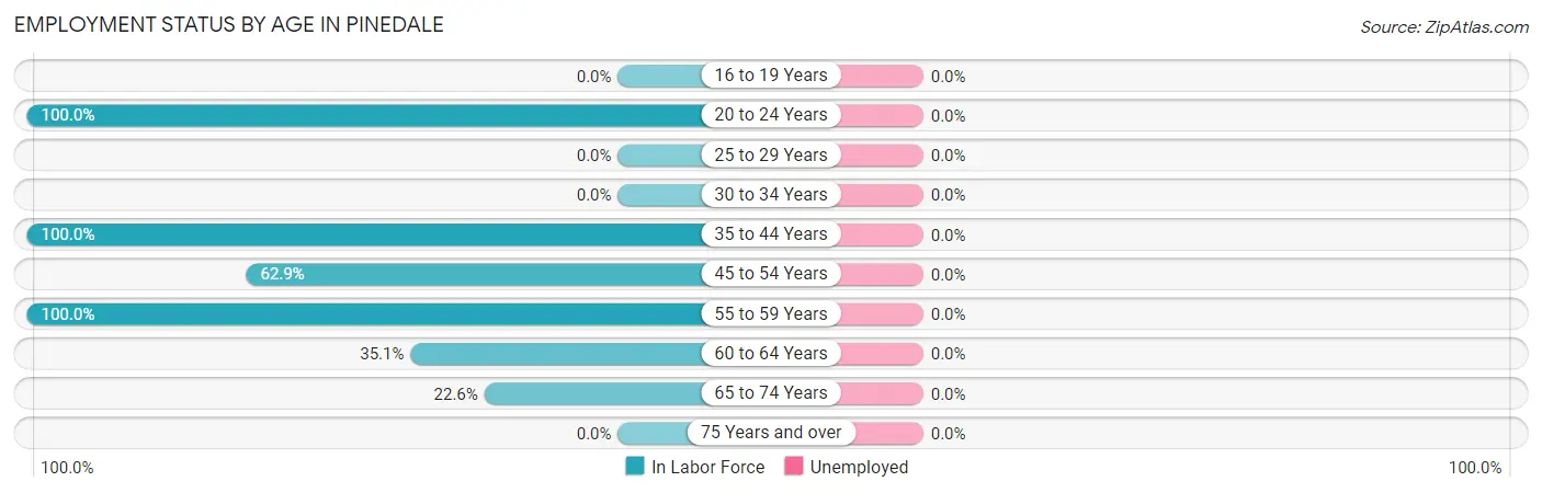 Employment Status by Age in Pinedale