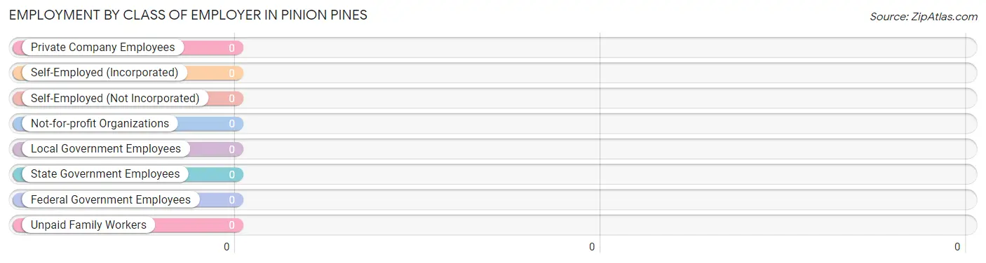 Employment by Class of Employer in Pinion Pines