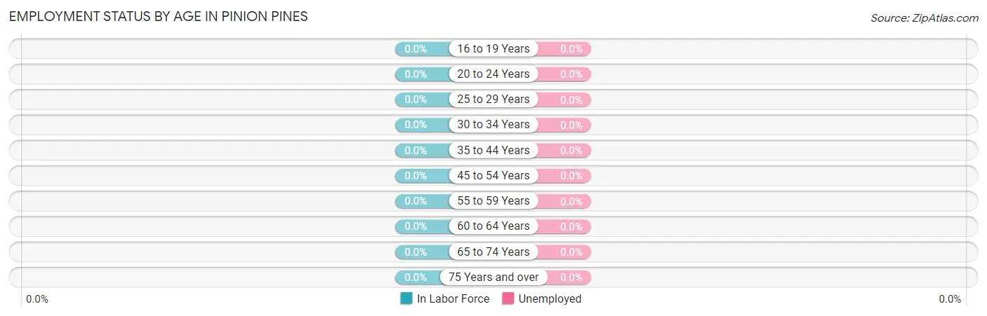 Employment Status by Age in Pinion Pines