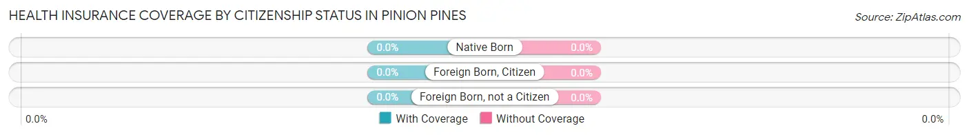 Health Insurance Coverage by Citizenship Status in Pinion Pines