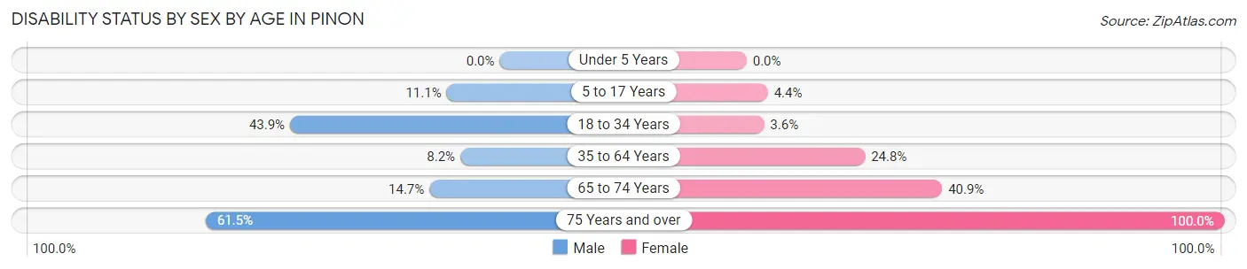 Disability Status by Sex by Age in Pinon