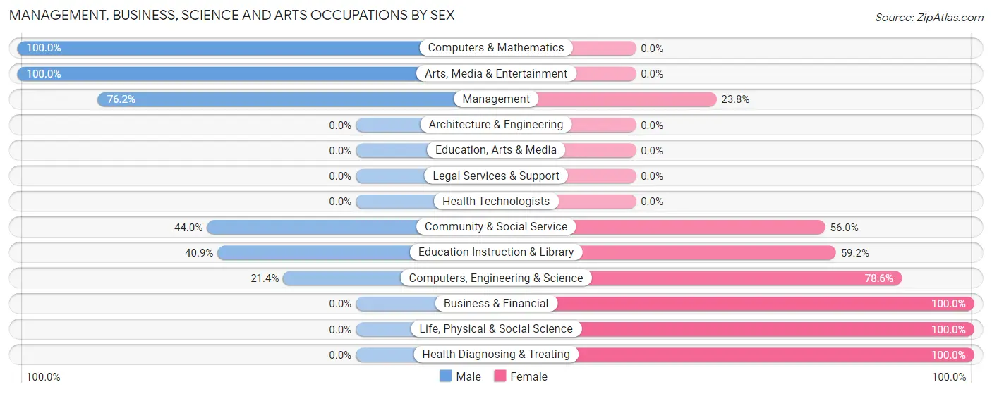 Management, Business, Science and Arts Occupations by Sex in Pinon