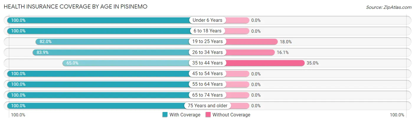 Health Insurance Coverage by Age in Pisinemo