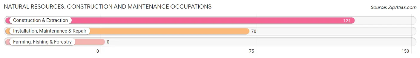 Natural Resources, Construction and Maintenance Occupations in Red Rock CDP Pinal County