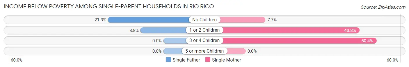 Income Below Poverty Among Single-Parent Households in Rio Rico