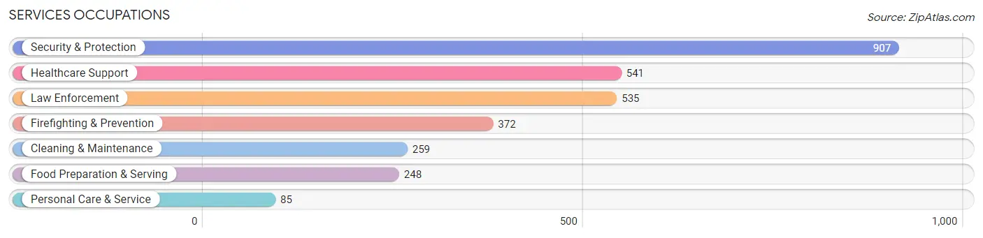 Services Occupations in Rio Rico