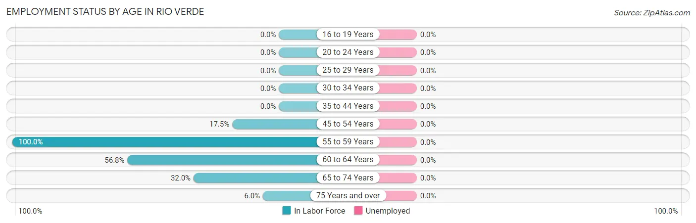 Employment Status by Age in Rio Verde
