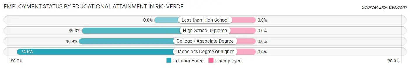 Employment Status by Educational Attainment in Rio Verde