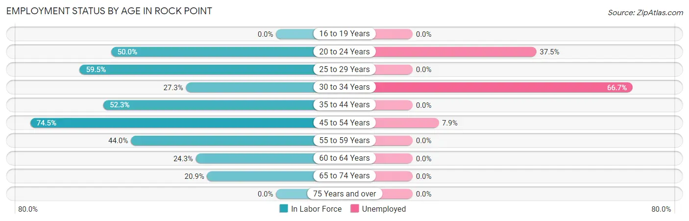 Employment Status by Age in Rock Point