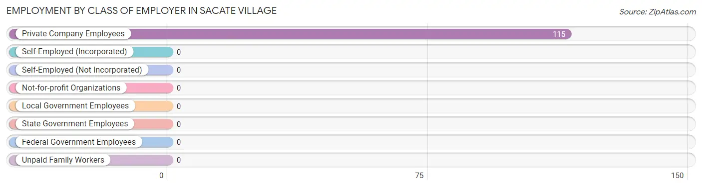 Employment by Class of Employer in Sacate Village