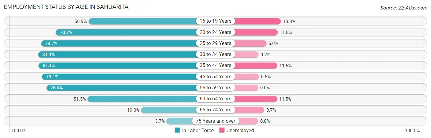 Employment Status by Age in Sahuarita