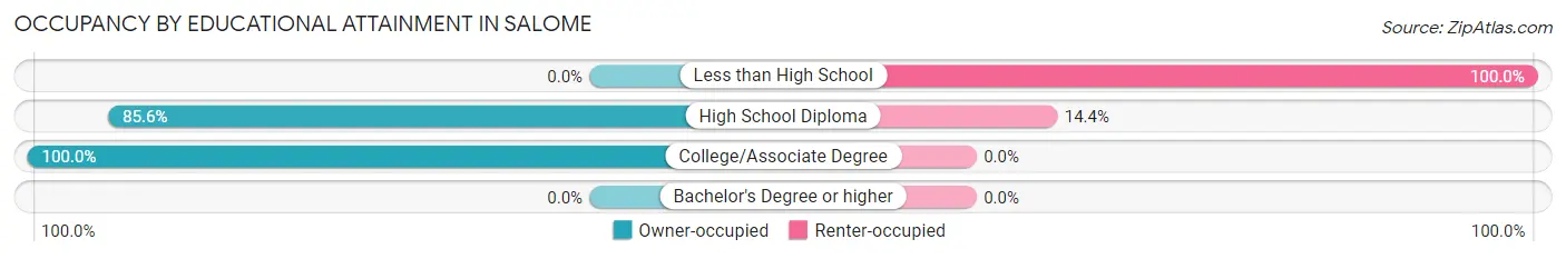 Occupancy by Educational Attainment in Salome