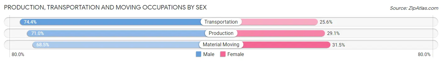 Production, Transportation and Moving Occupations by Sex in San Luis