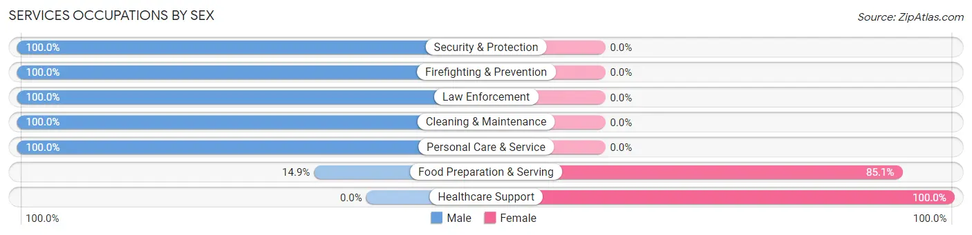 Services Occupations by Sex in San Manuel