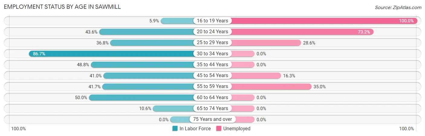 Employment Status by Age in Sawmill