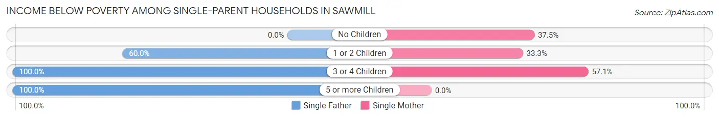 Income Below Poverty Among Single-Parent Households in Sawmill