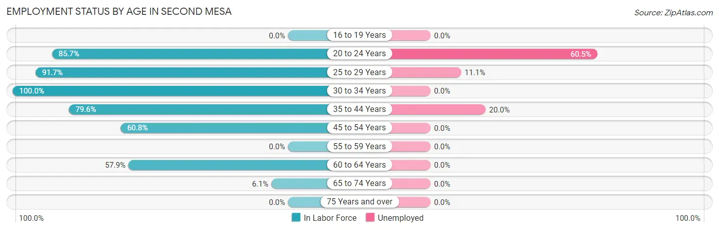 Employment Status by Age in Second Mesa