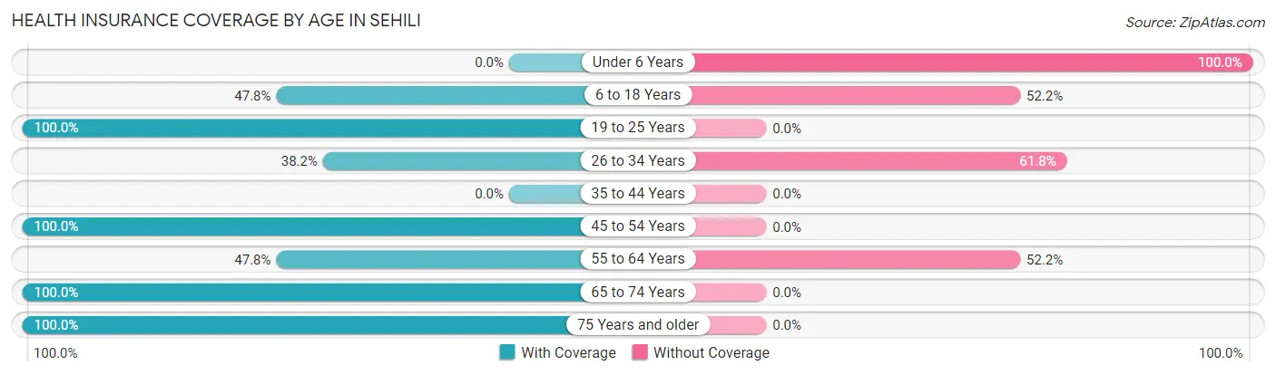 Health Insurance Coverage by Age in Sehili