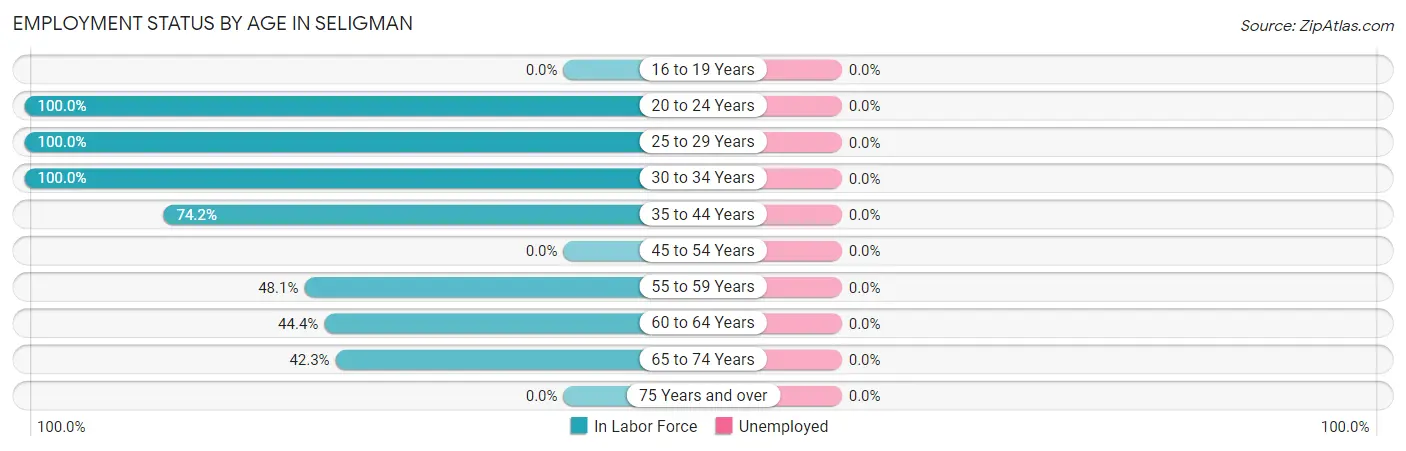 Employment Status by Age in Seligman