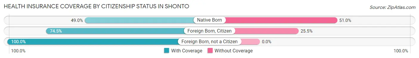 Health Insurance Coverage by Citizenship Status in Shonto