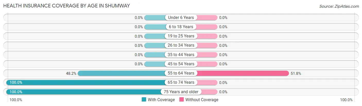 Health Insurance Coverage by Age in Shumway