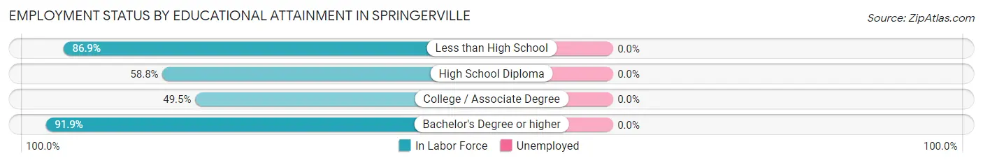 Employment Status by Educational Attainment in Springerville