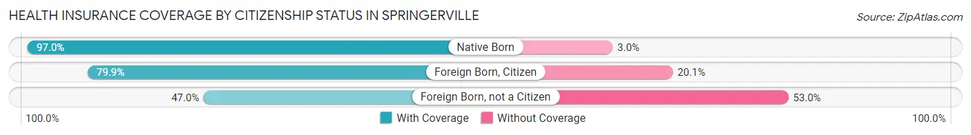 Health Insurance Coverage by Citizenship Status in Springerville