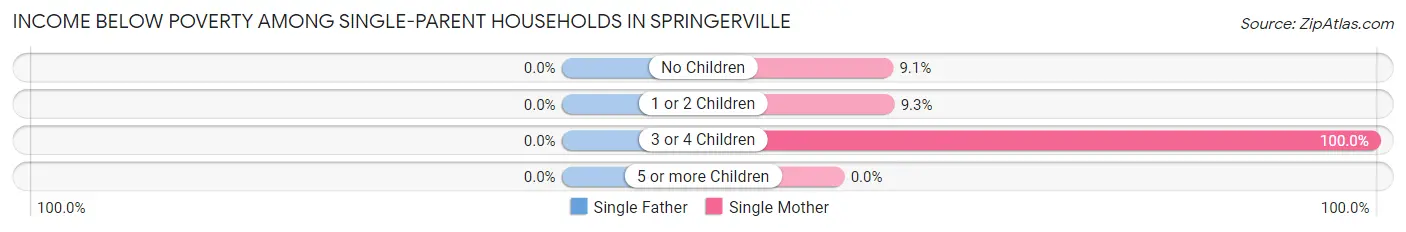 Income Below Poverty Among Single-Parent Households in Springerville