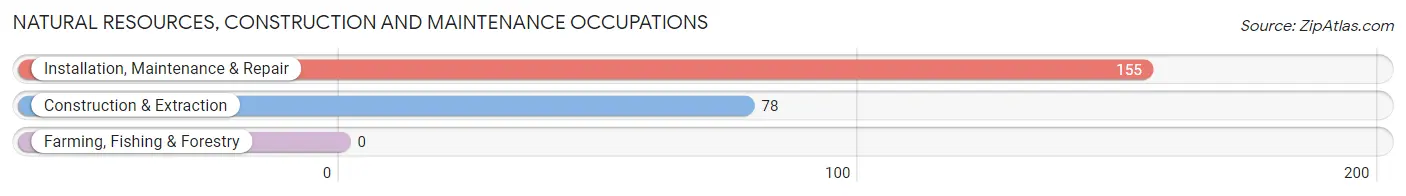 Natural Resources, Construction and Maintenance Occupations in Star Valley