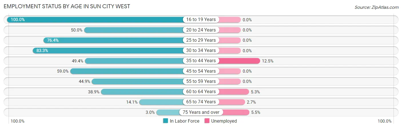 Employment Status by Age in Sun City West