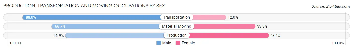 Production, Transportation and Moving Occupations by Sex in Sun City West