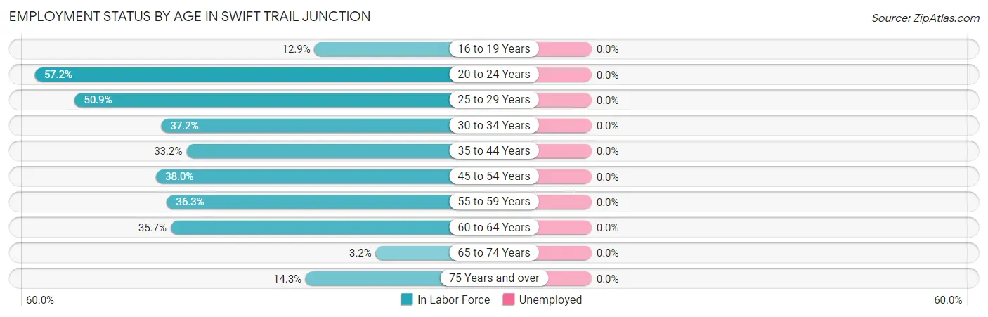 Employment Status by Age in Swift Trail Junction