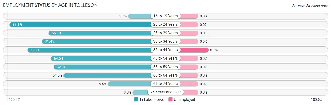 Employment Status by Age in Tolleson