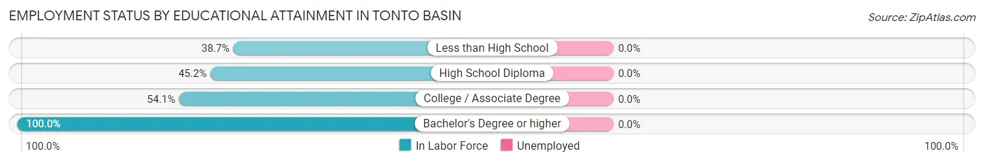 Employment Status by Educational Attainment in Tonto Basin