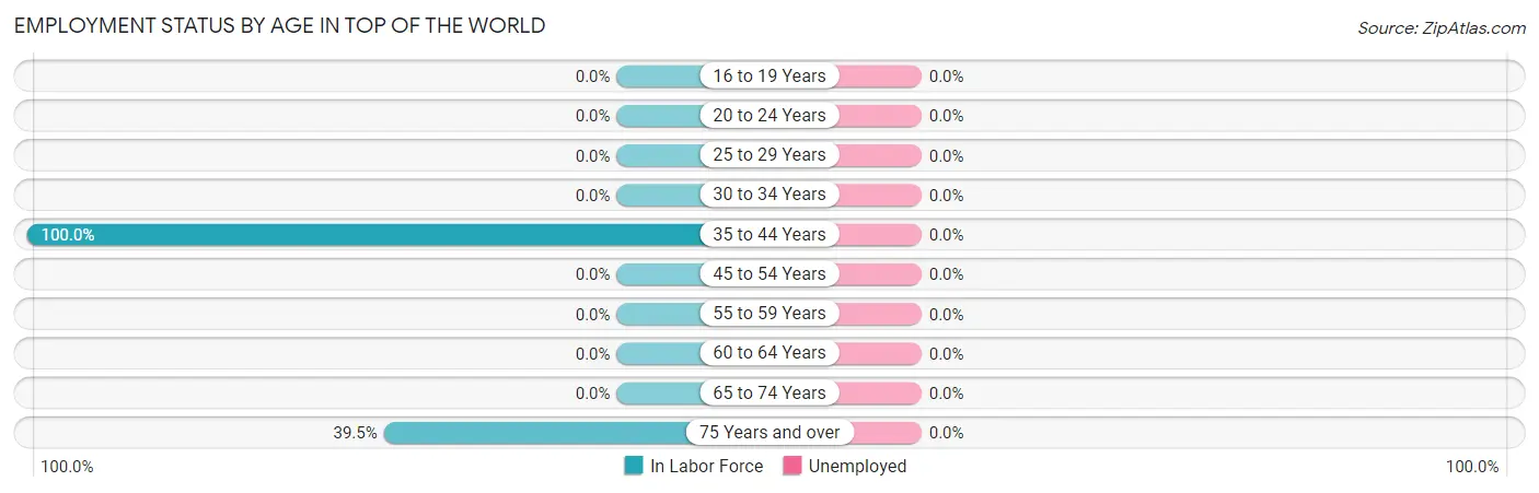 Employment Status by Age in Top of the World