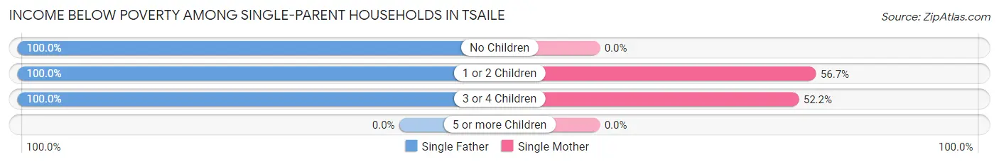 Income Below Poverty Among Single-Parent Households in Tsaile