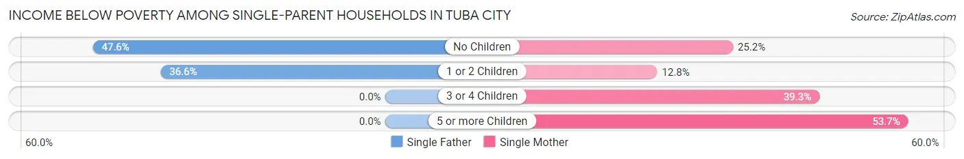Income Below Poverty Among Single-Parent Households in Tuba City