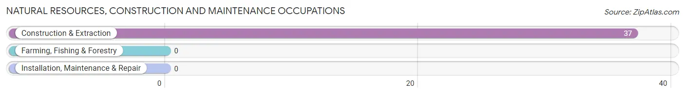 Natural Resources, Construction and Maintenance Occupations in Tubac