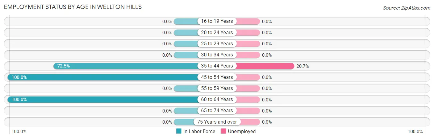 Employment Status by Age in Wellton Hills