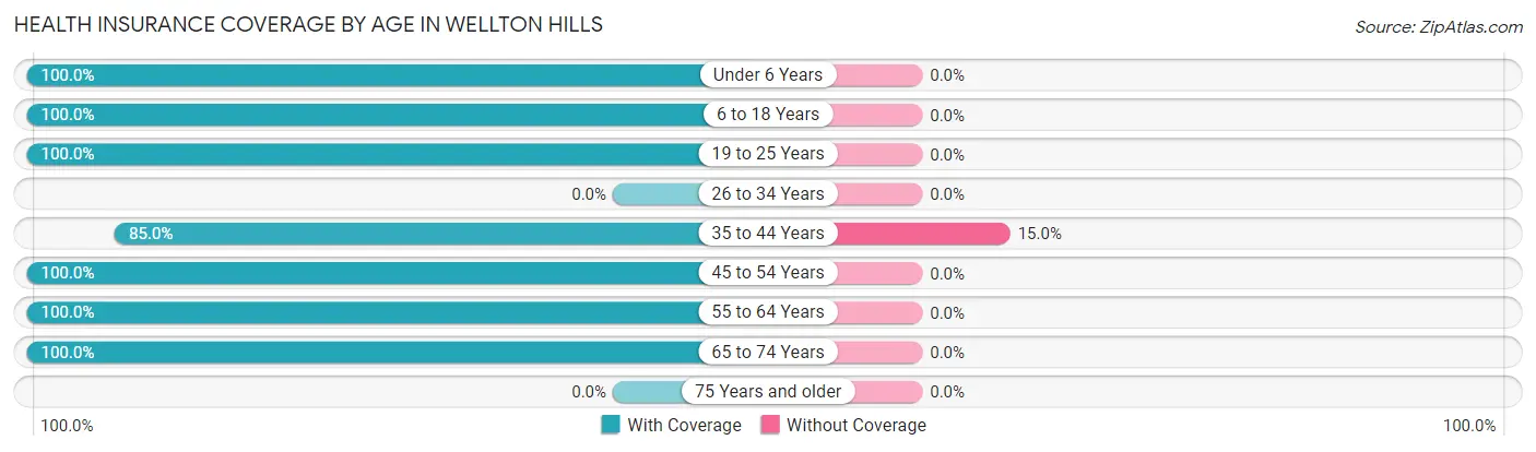 Health Insurance Coverage by Age in Wellton Hills