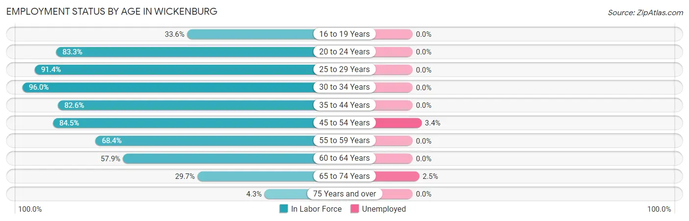 Employment Status by Age in Wickenburg
