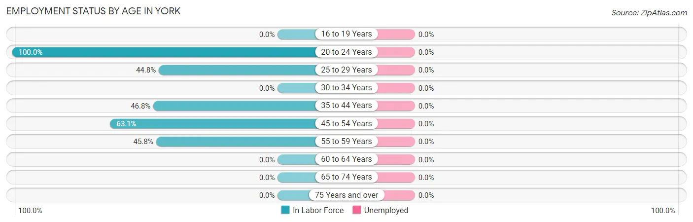 Employment Status by Age in York