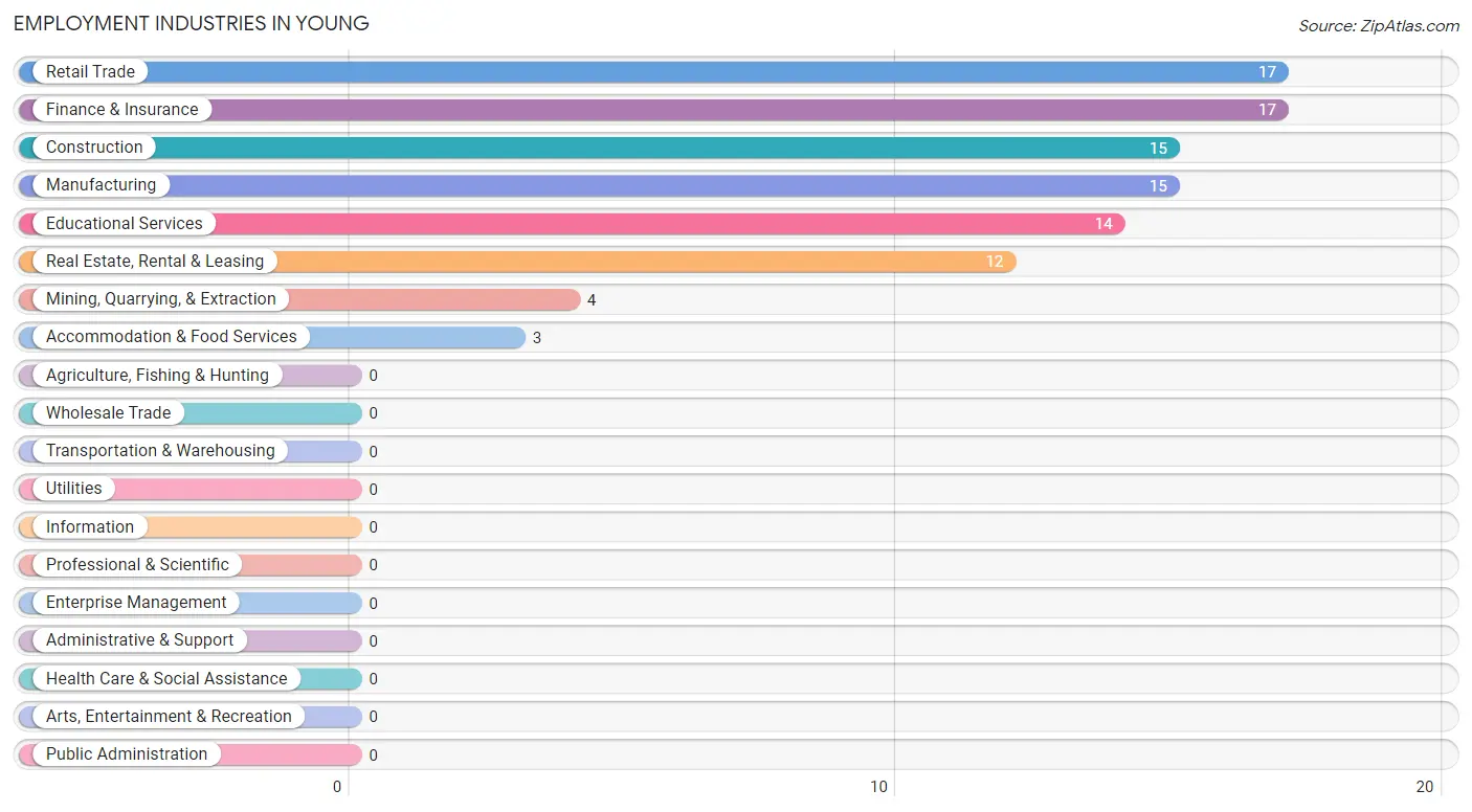 Employment Industries in Young