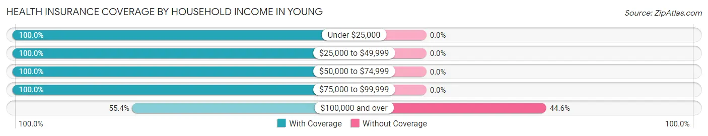 Health Insurance Coverage by Household Income in Young